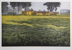 Summer Field, Impressionist Lithograph by Oliviero Masi