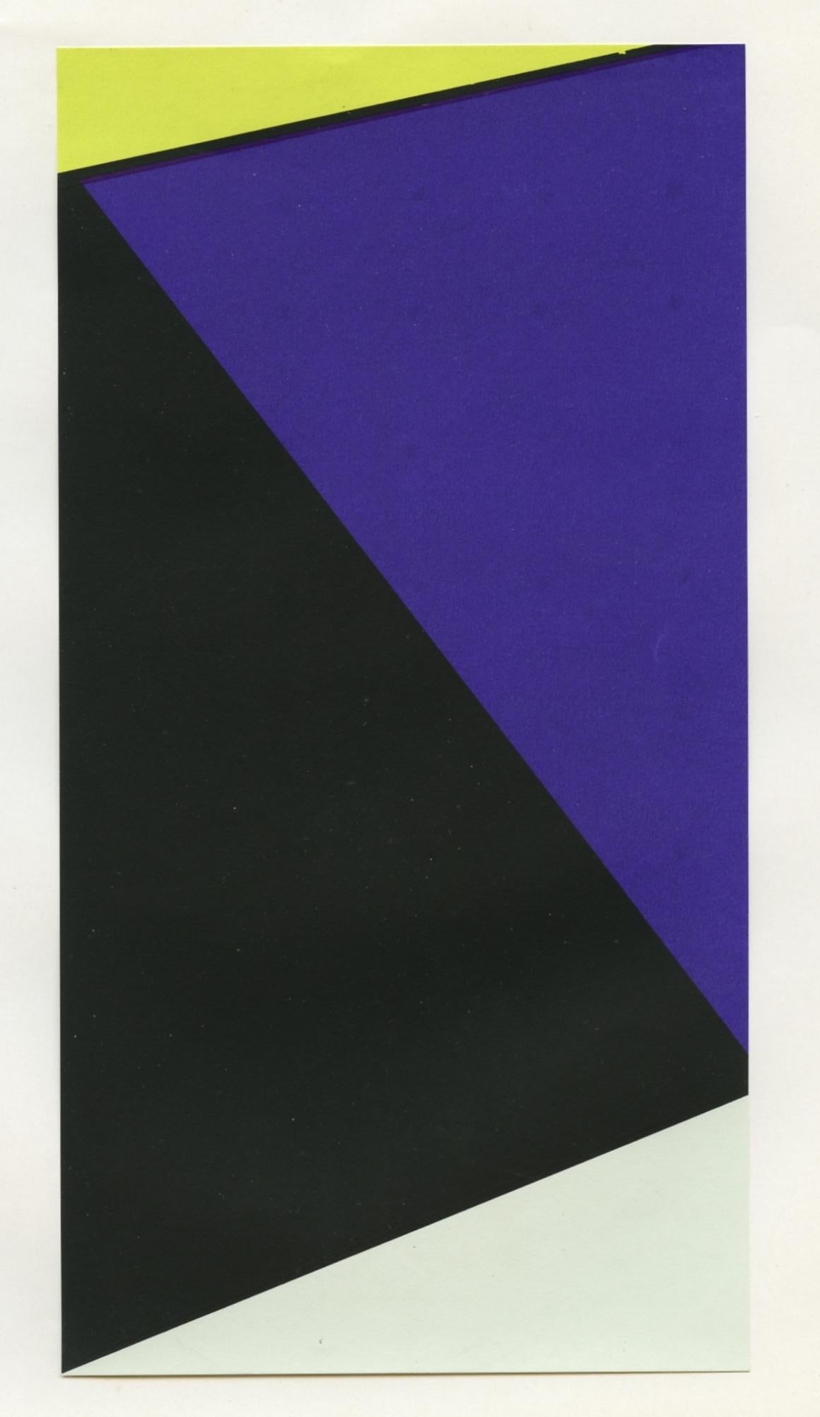 Médium : sérigraphie / sérigraphie. Imprimé en 1964 sur papier vélin fin par l'Imprimerie Mazarine et publié à Paris par la Galerie Denise René pour le rare catalogue d'exposition "Hard Edge". Cet ouvrage a été joint par l'éditeur à une feuille de