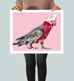 Gary the Galah !