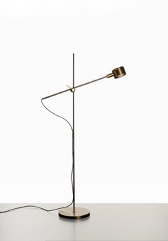 Oluce G.O. 352 Floor Lamp by Giuseppe Ostuni - Bronze - 220–240V