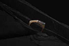 Ombres Portees A-23 18k Gold and Steel Ring by Karl Mazlo, France