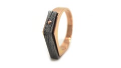 Ombres Portees A-24 18k Gold and Steel Ring by Karl Mazlo, France