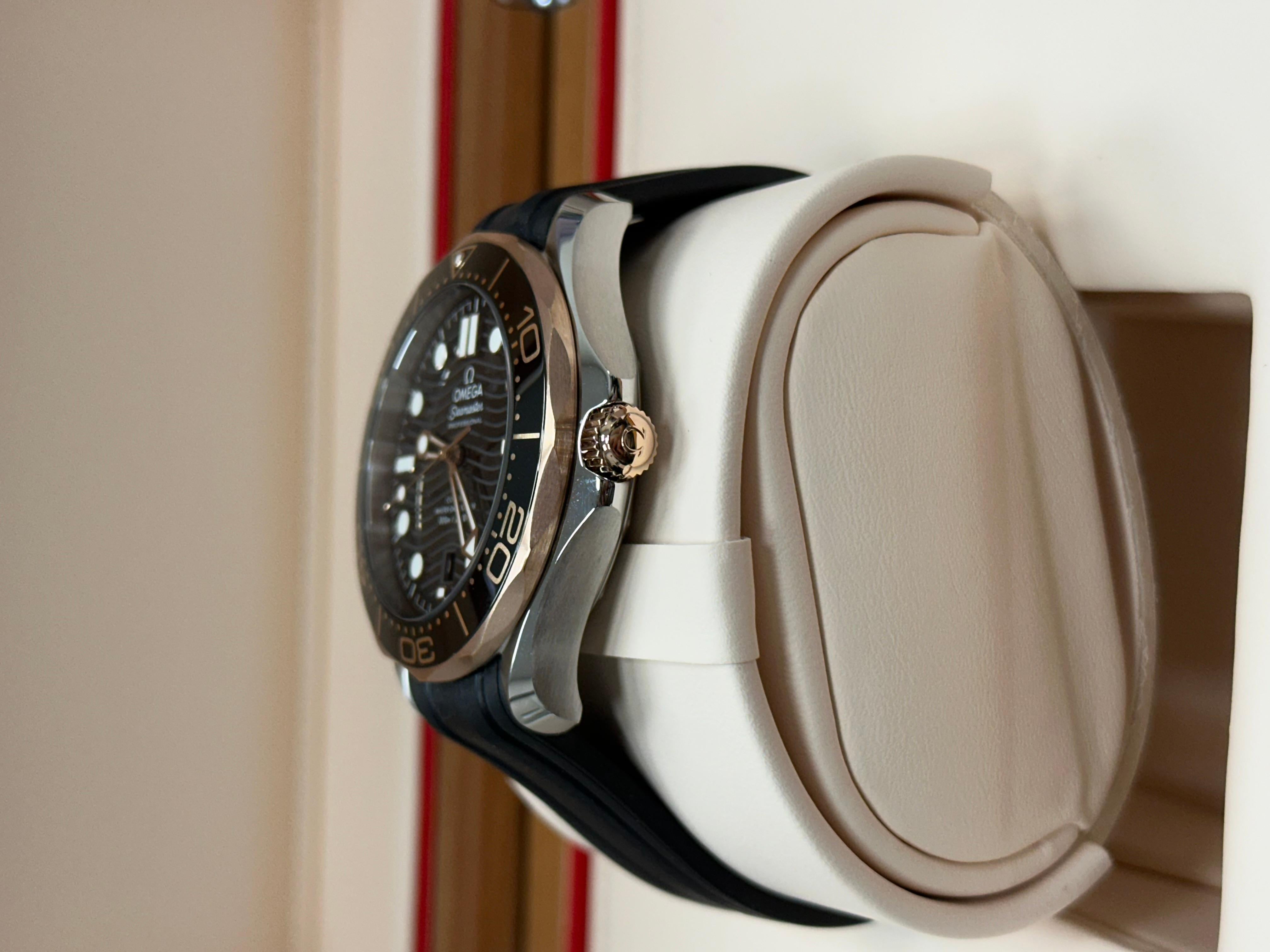 Omega 210.22.42.20.01.002 Seamaster Professional 18K Rose Gold Stahl Box Papier 3