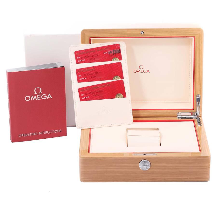 Omega Seamaster 300 Co-Axial Steel Herrenuhr 234.30.41.21.01.001 Boxkarte im Angebot 7