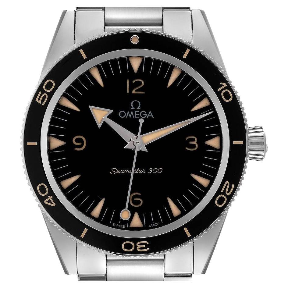 Omega Seamaster 300 Co-Axial Steel Mens Watch 234.30.41.21.01.001 Box Card For Sale