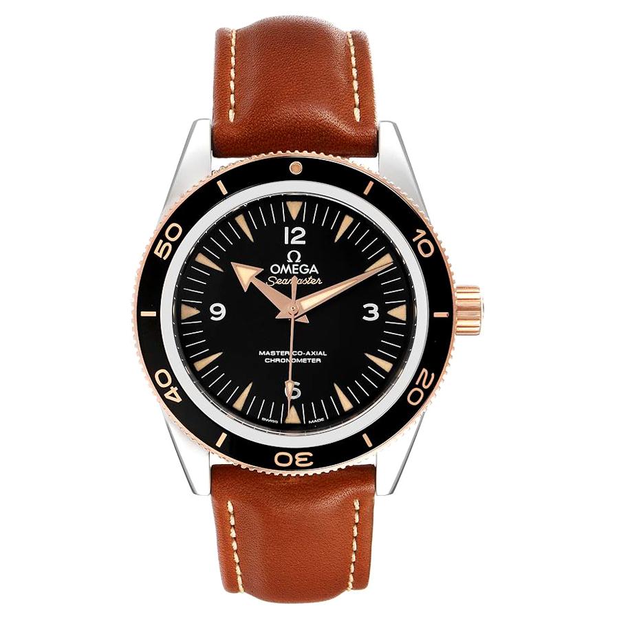 Omega Seamaster 300 Master Co-Axial Mens Watch 233.22.41.21.01.002 Box Card For Sale