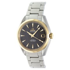 Omega Seamaster Aqua Terra 231.20.39.21.06.004