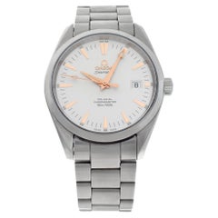 Omega Seamaster Aqua Terra 2503.34.00 in Stainless Steel dial 39mm Watch