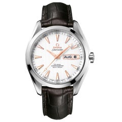 Omega Seamaster Aqua Terra Steel Silver Dial Automatic Watch 231.13.43.22.02.002