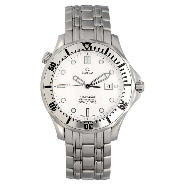 Omega Seamaster Professional 2542.20.00 Men's Watch at 1stDibs