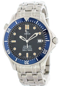 Omega Seamaster Professional Chronometer 2531.80.00 Men's Watch