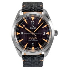 Omega Seamaster Railmaster 40MM 220.12.40.20.01.001 Stainless Steel Watch