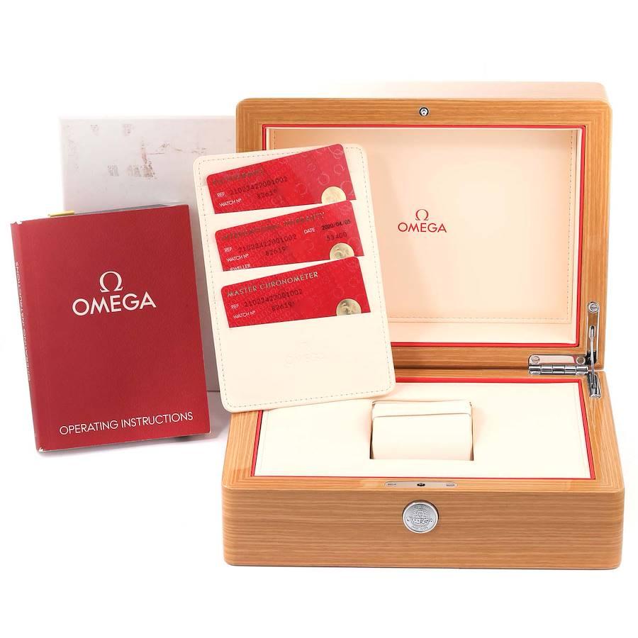Omega Seamaster Stahl Roségold Herrenuhr 210.22.42.20.01.002 Box-Karte im Angebot 6