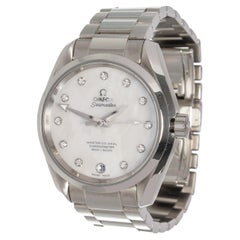 Omega Silver Seamaster Watch