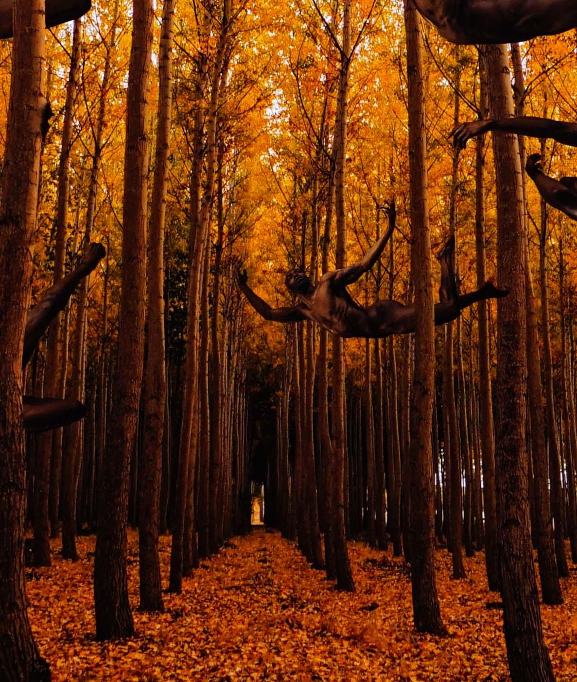 Formation (Male nude bodies are integral to Autumn foliage)) - Surrealist Photograph by Omer Ga'ash