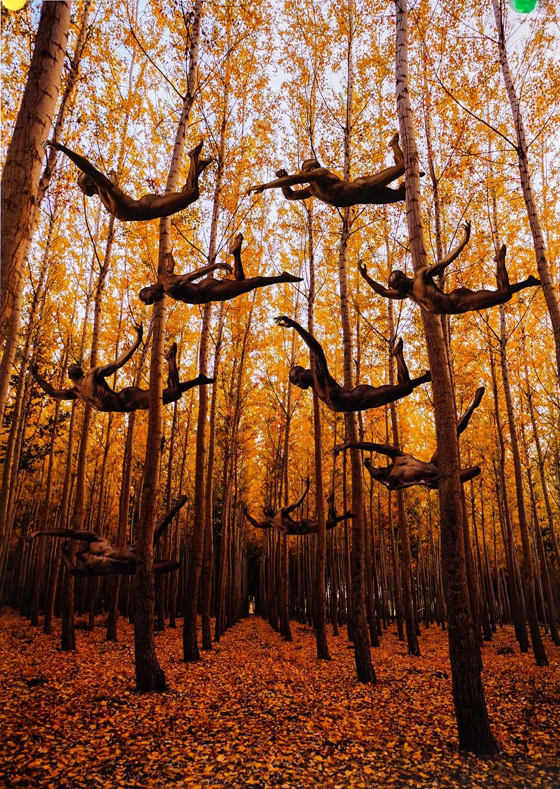 Formation (Male nude bodies are integral to Autumn foliage)) For Sale 1