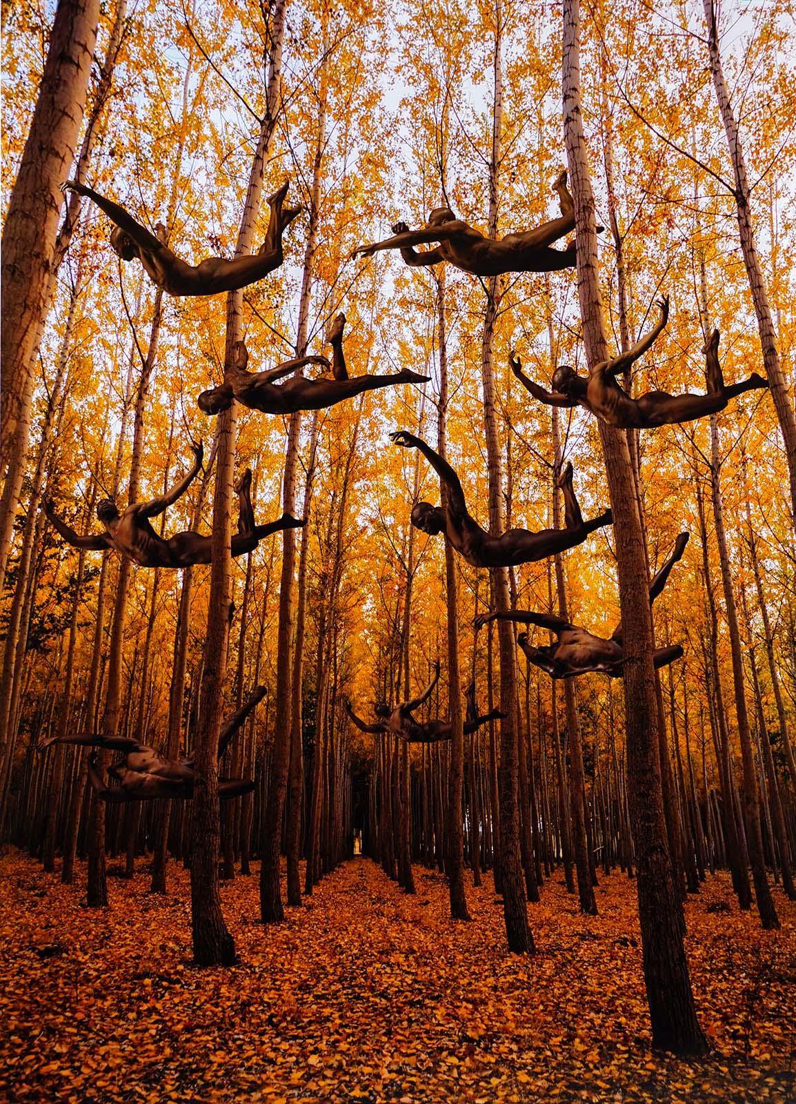 Omer Ga'ash Color Photograph - Formation (Male nude bodies are integral to Autumn foliage))