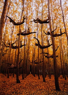 Formation (Male nude bodies are integral to Autumn foliage))