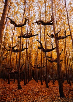 Formation (les nus massifs deviennent des paysages d'automne)