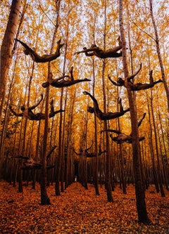 Formation (Male nudes become part of Autumn landscape)