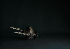 Omnia Vanitas Vanité 10 candelabri in bronzo fuso patinato di William Guillon