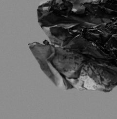 The capability to transform into any shape. Abstract black and white photograph