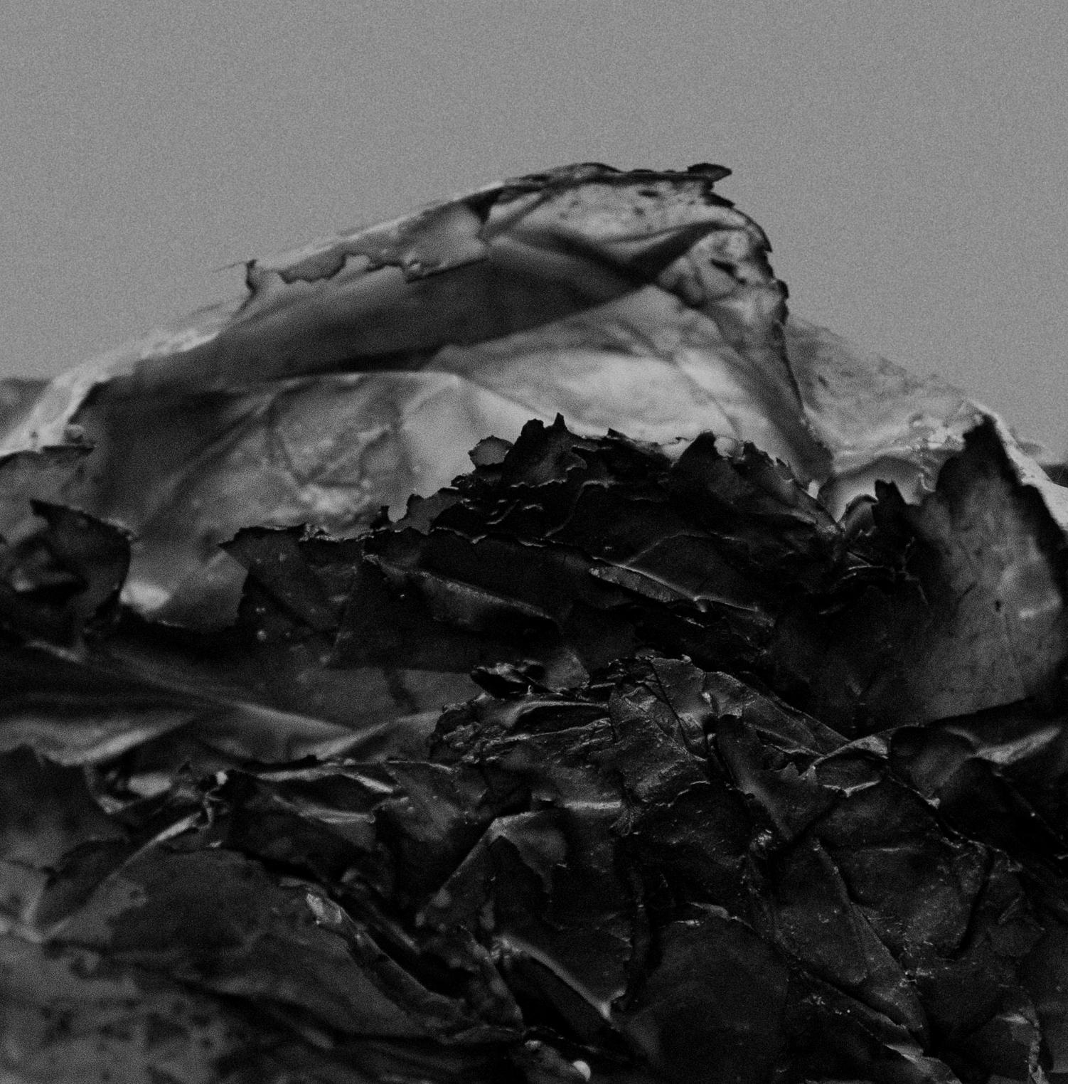 Die Fähigkeit, sich in jede Form zu verwandeln. Abstrakte Schwarz-Weiß-Fotografie (Minimalistisch), Photograph, von On Hansen