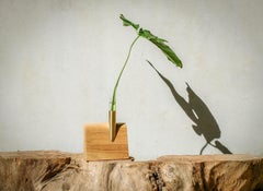 'Onda' Minimalist Vintage Wooden Vase in Brazilian Hardwood by Knót Artesanal