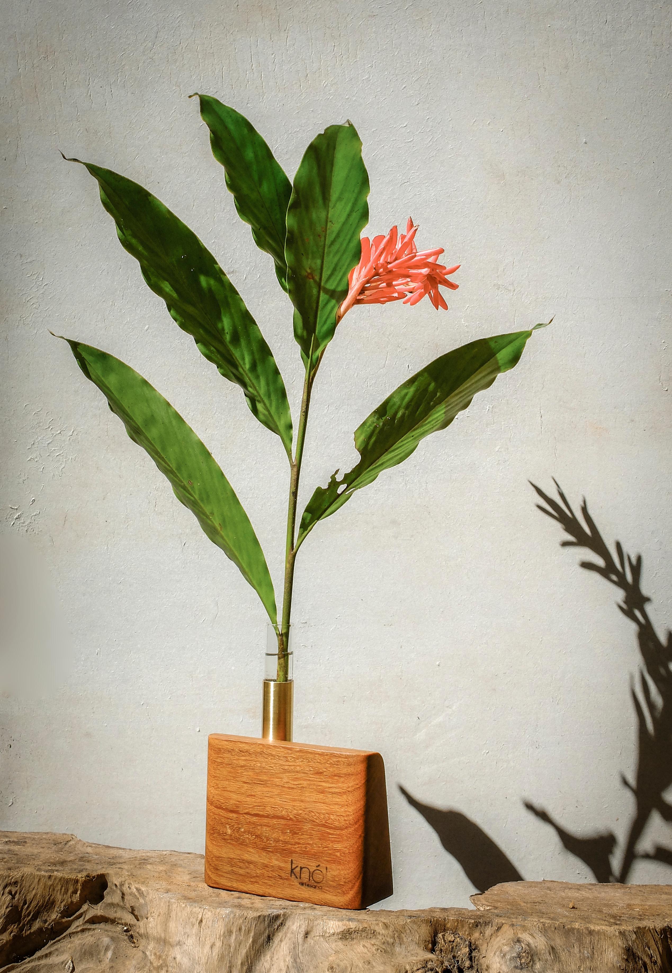 Hand-Crafted 'Onda' Minimalist Vintage Wooden Vase in Brazilian Hardwood by Knót Artesanal For Sale
