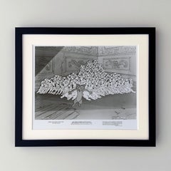 One Hundred and One Dalmatians (1961) Press Publicity Still - Framed