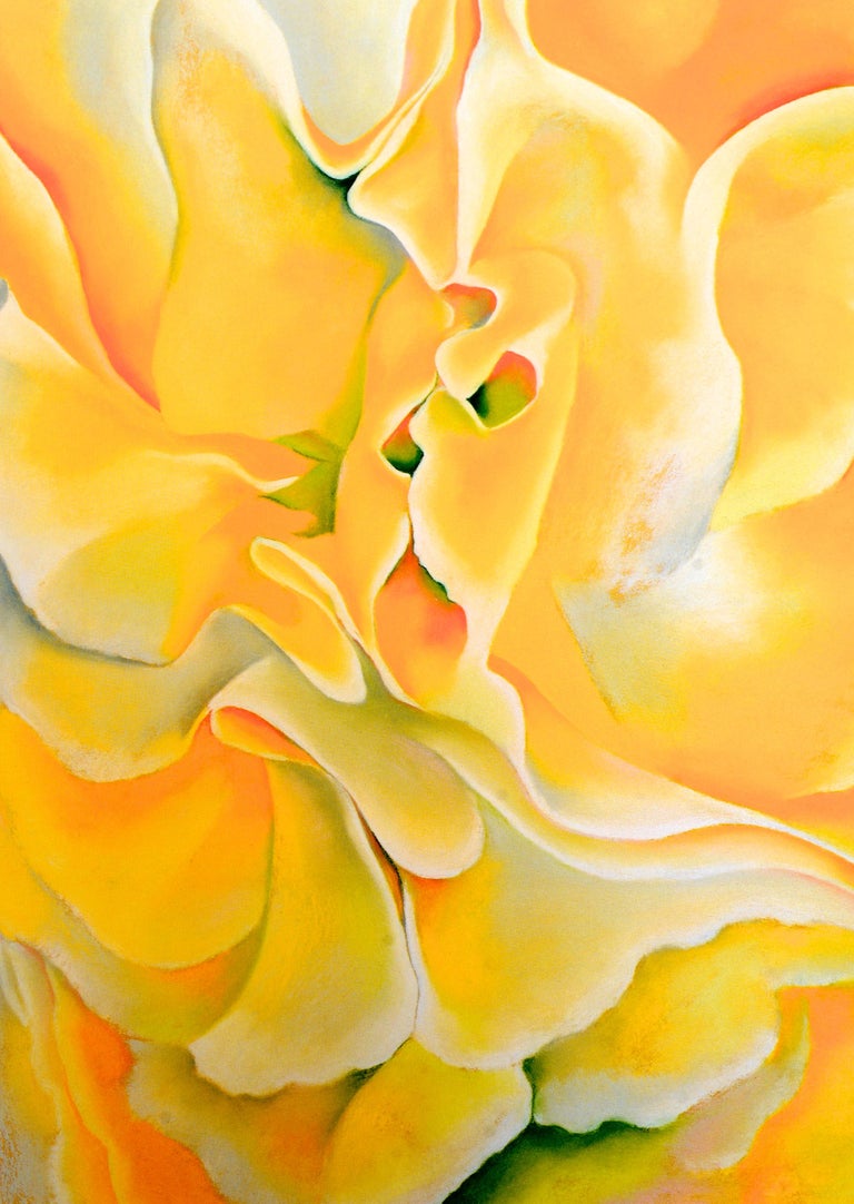 One Hundred Flowers by O'Keefe, 1st Ed at 1stDibs