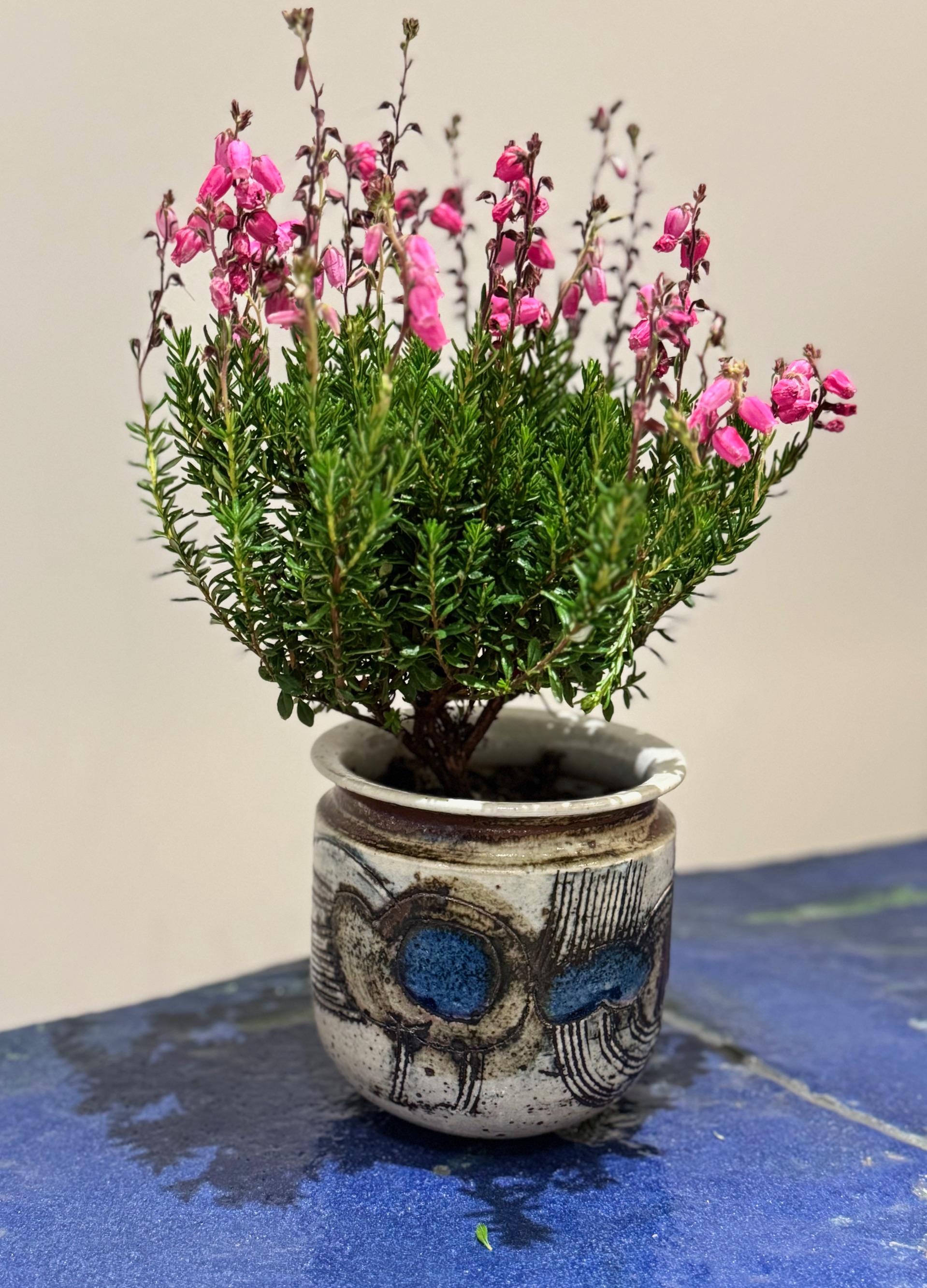 Einzigartige Keramikvase von Lisa Larson, Gustavsberg, Schweden, 1960er Jahre im Angebot 2