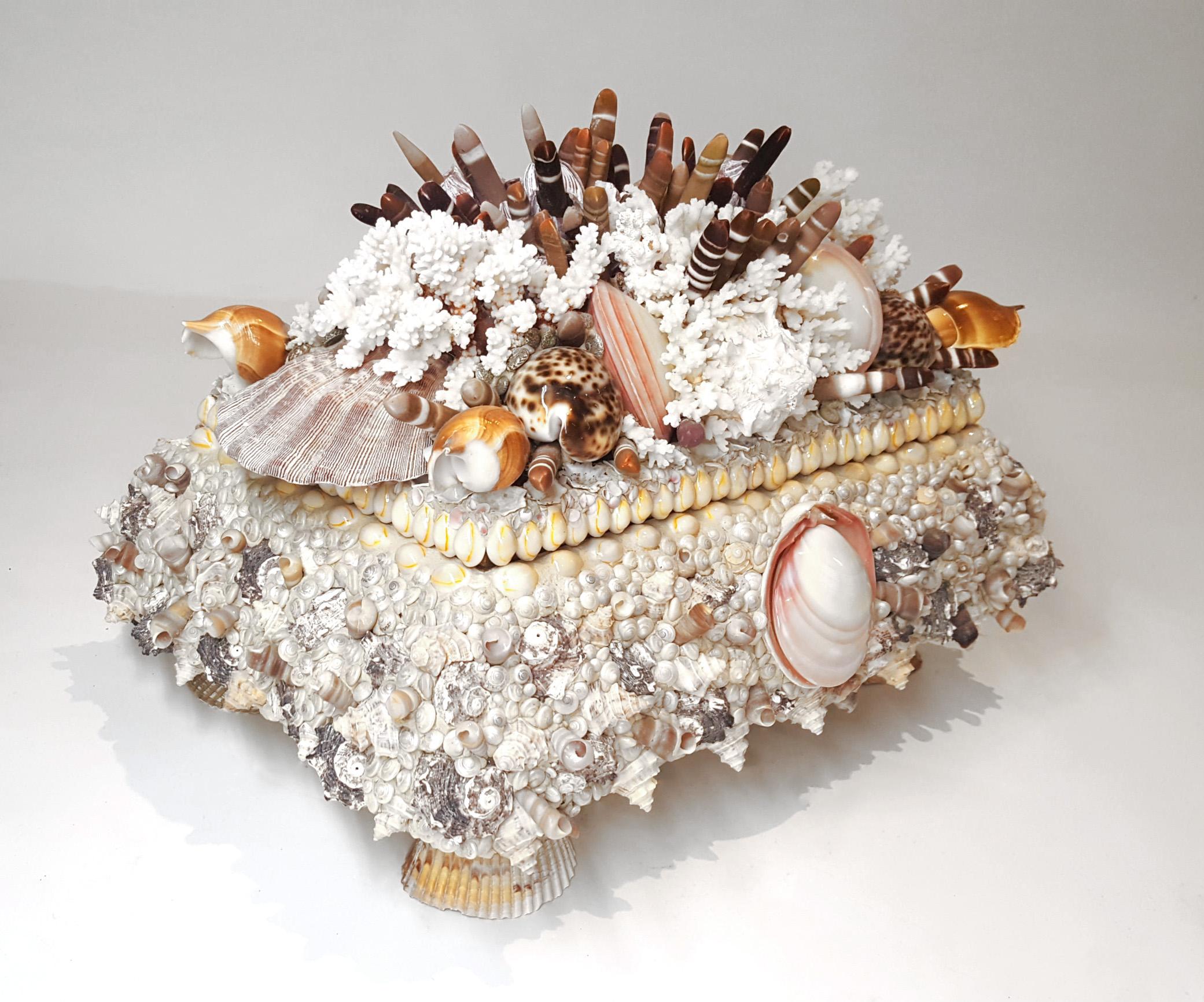 This one of a kind Jewelry Box was handmade by a local Texas artisan for their private collection. No expense was spared in the acquisition of exotic shells and mother of pearl when creating this piece. Each and every shell was attached to the box