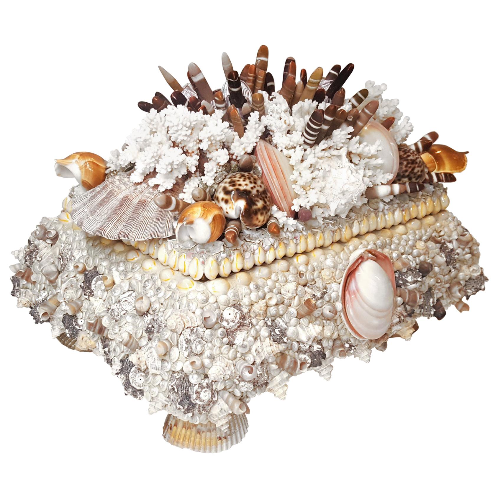 One-of-a-Kind Handmade Exotic Sea Shell Encrusted Large Scale Jewelry Box