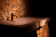 Aina One of a Kind Jurassic Fossil Marble Erosion Double Sink, Unique Collection