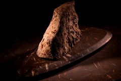 Aina One of a Kind Jurassic Fossil Marble Nature Sculpture, Unique Collection