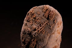 Aina One of a Kind Jurassic Fossil Marble Nature Sculpture, Unique Collection