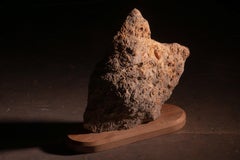 Aina One of a Kind Jurassic Fossil Marble Nature Sculpture, Unique Collection