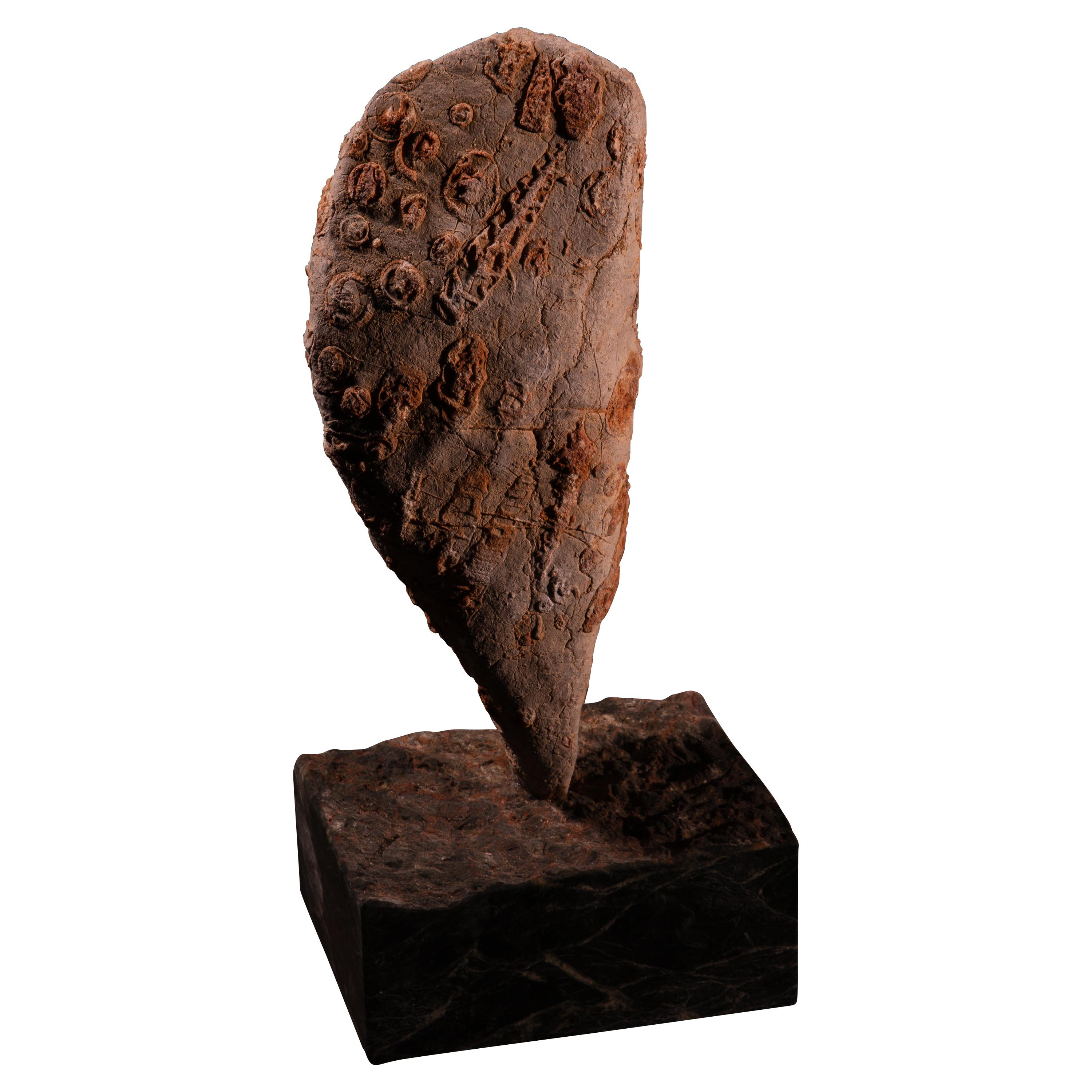 Aina One of a Kind Jurassic Fossil Marble Nature Sculpture, Unique Collection For Sale