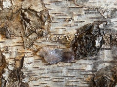 One-of-a Kind, monumental sideboard & bar in birch veneer & crystal inlays