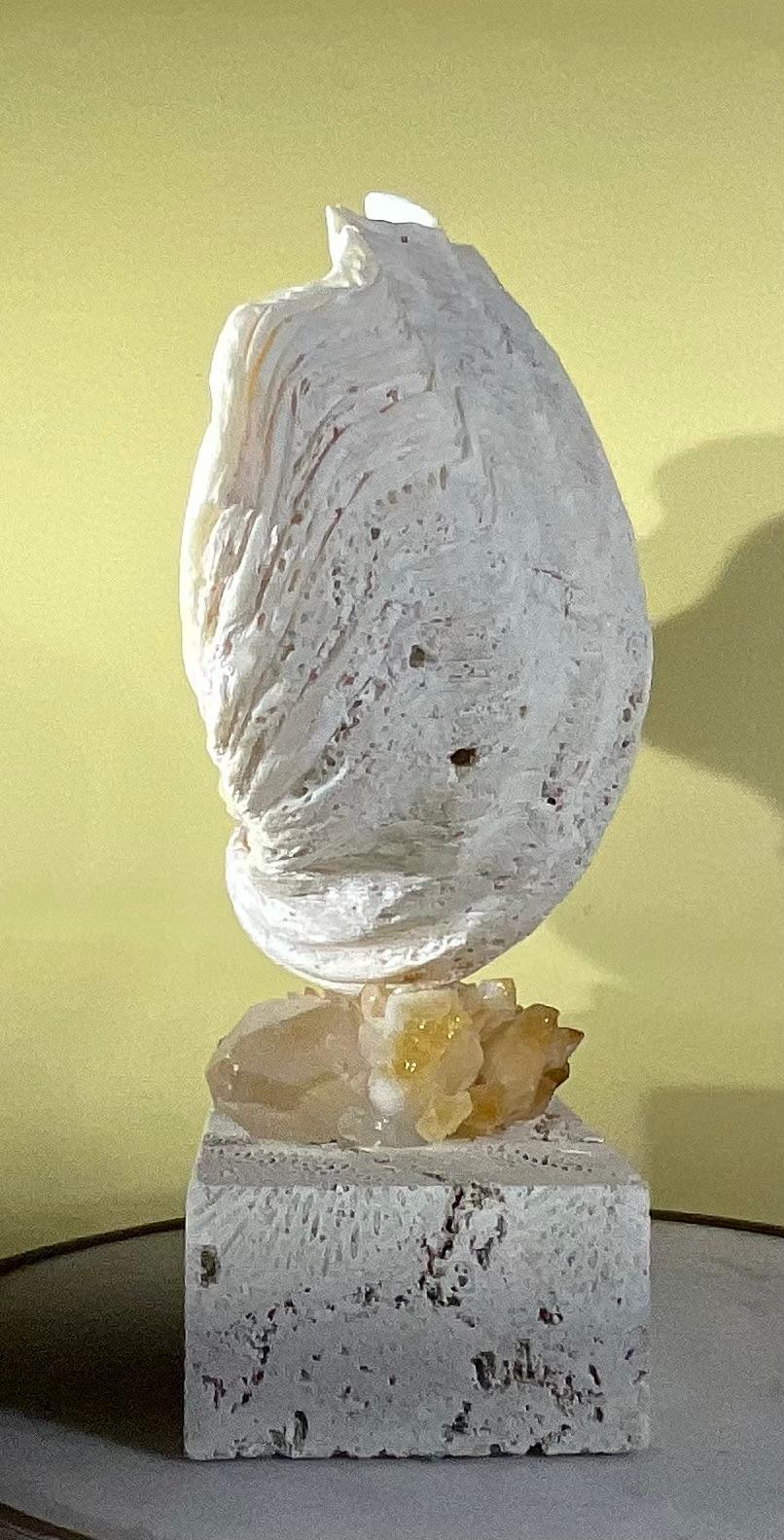 Almeja natural única montada sobre una base de coral natural . en venta 3