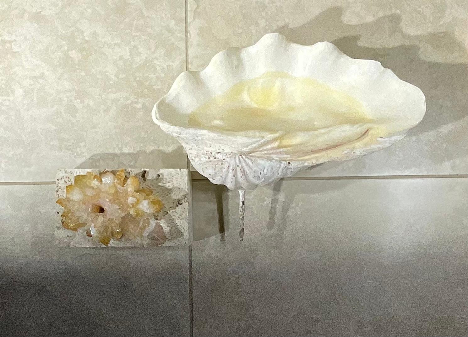 Almeja natural única montada sobre una base de coral natural . en venta 7