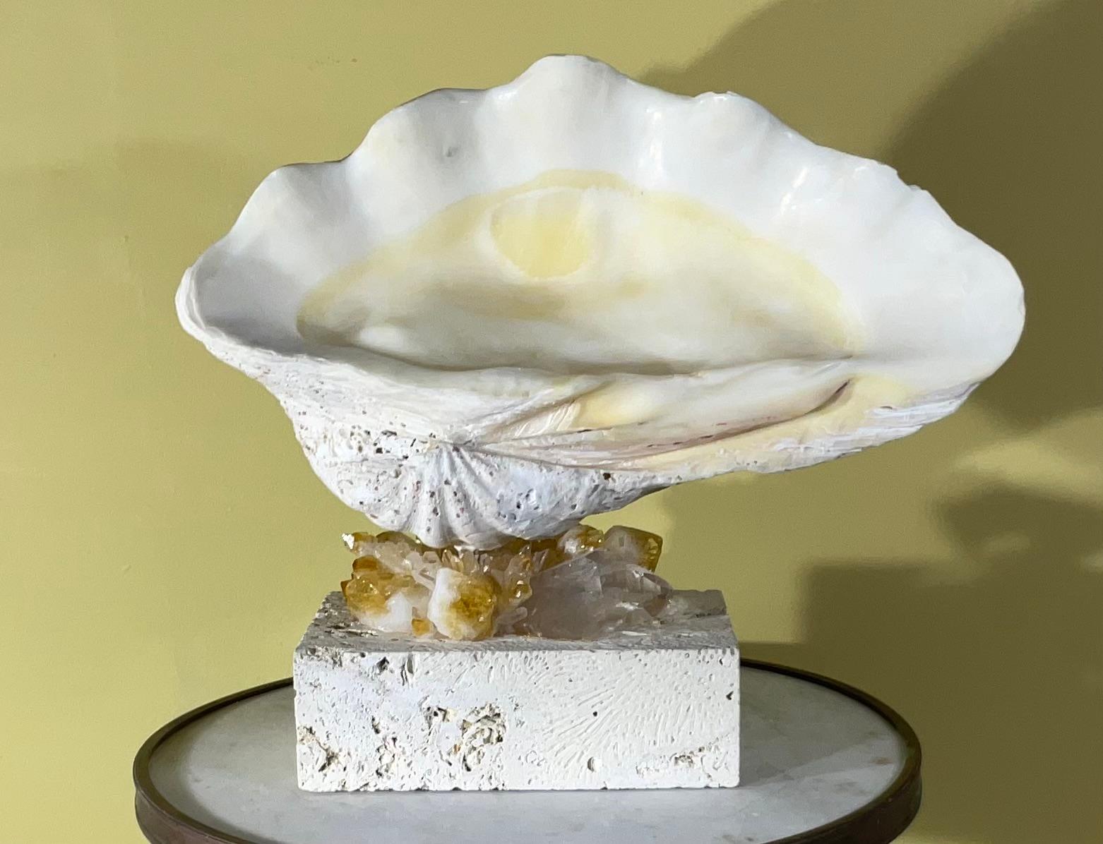 Beautiful natural clamshell with cream color patina, professionally clean and mounted on original natural coral base, with some accents of rock Crystal and citrine crystal .
Come in two pieces , easy to move 
Great natural object of art for