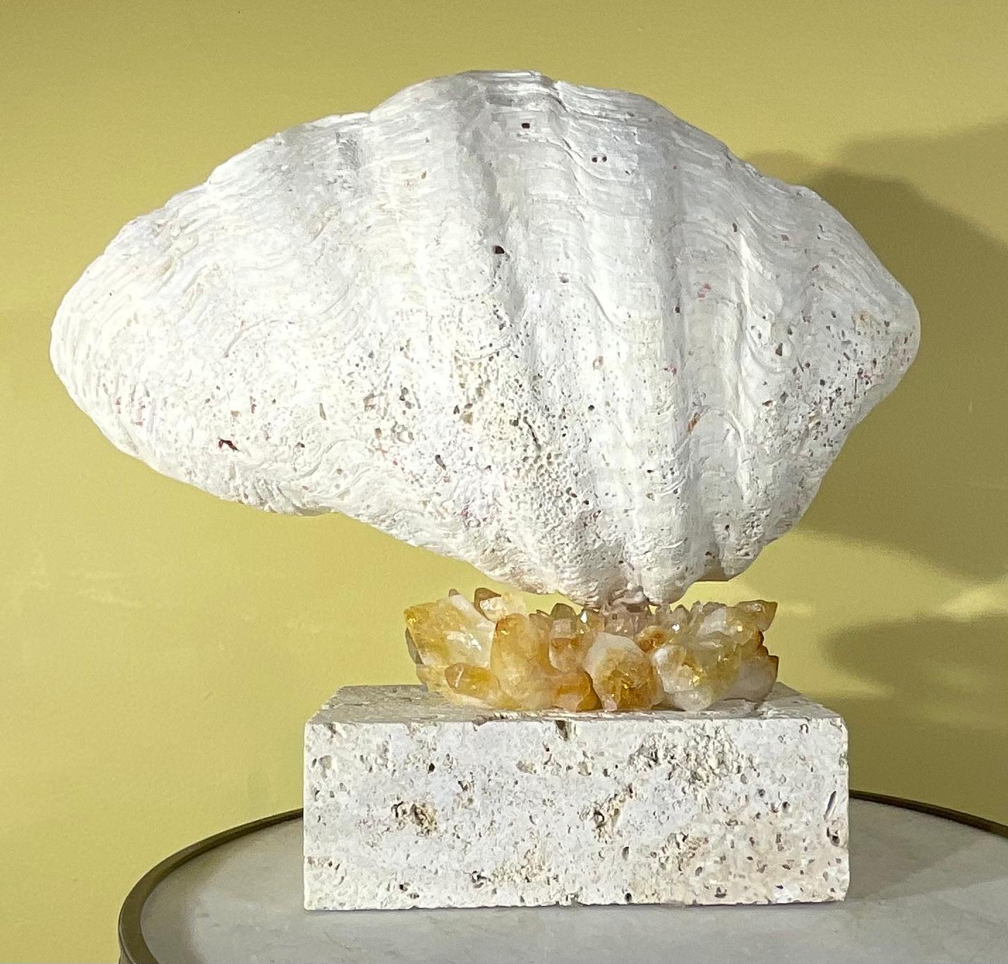 One Of A Kind Natural Clamshell Mounted on a Natural Coral Base . For Sale 2