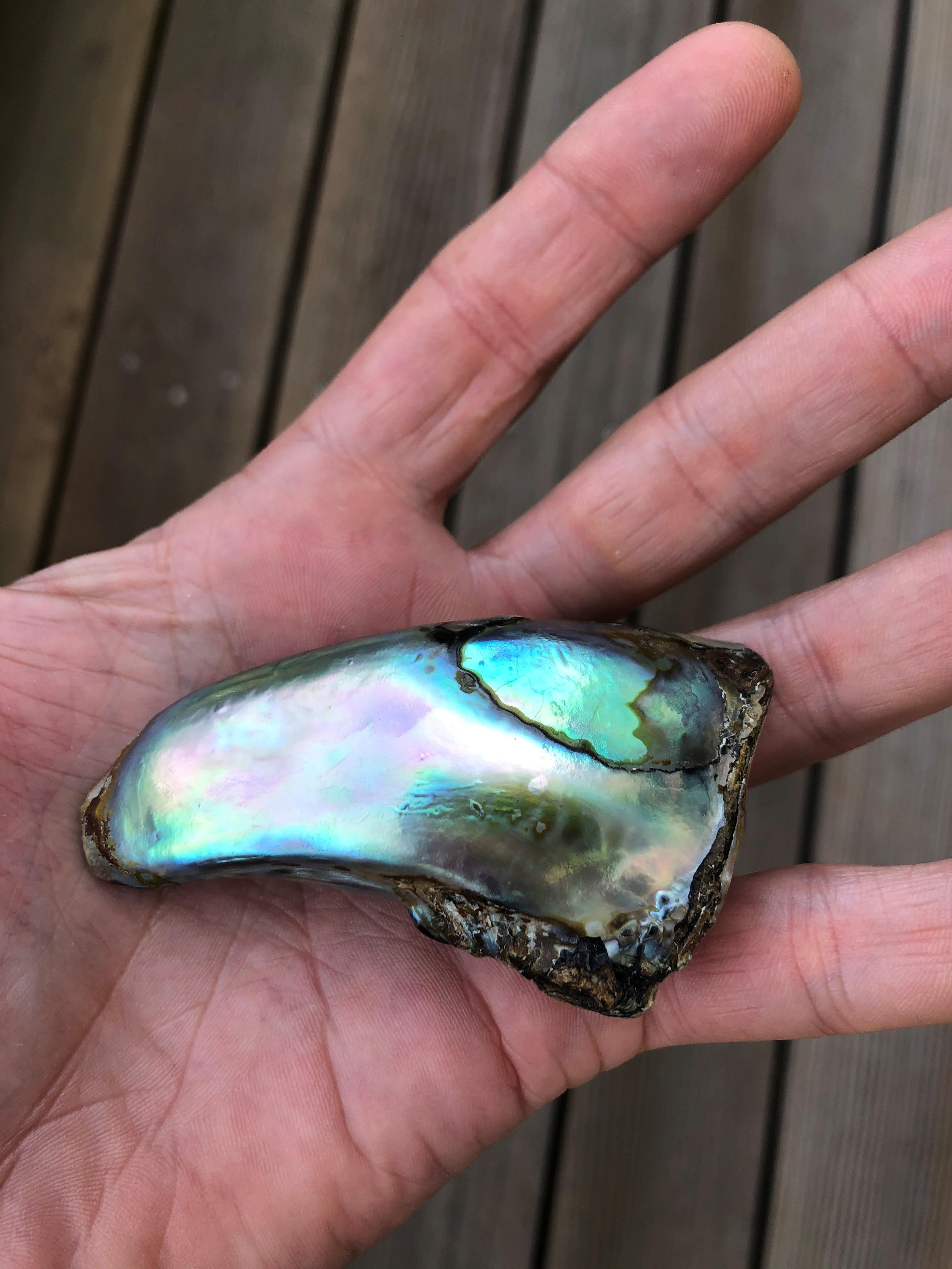 One of a Kind Natural Saltwater Abalone Pearl of Impressive Size In Excellent Condition For Sale In Lucerne, CH