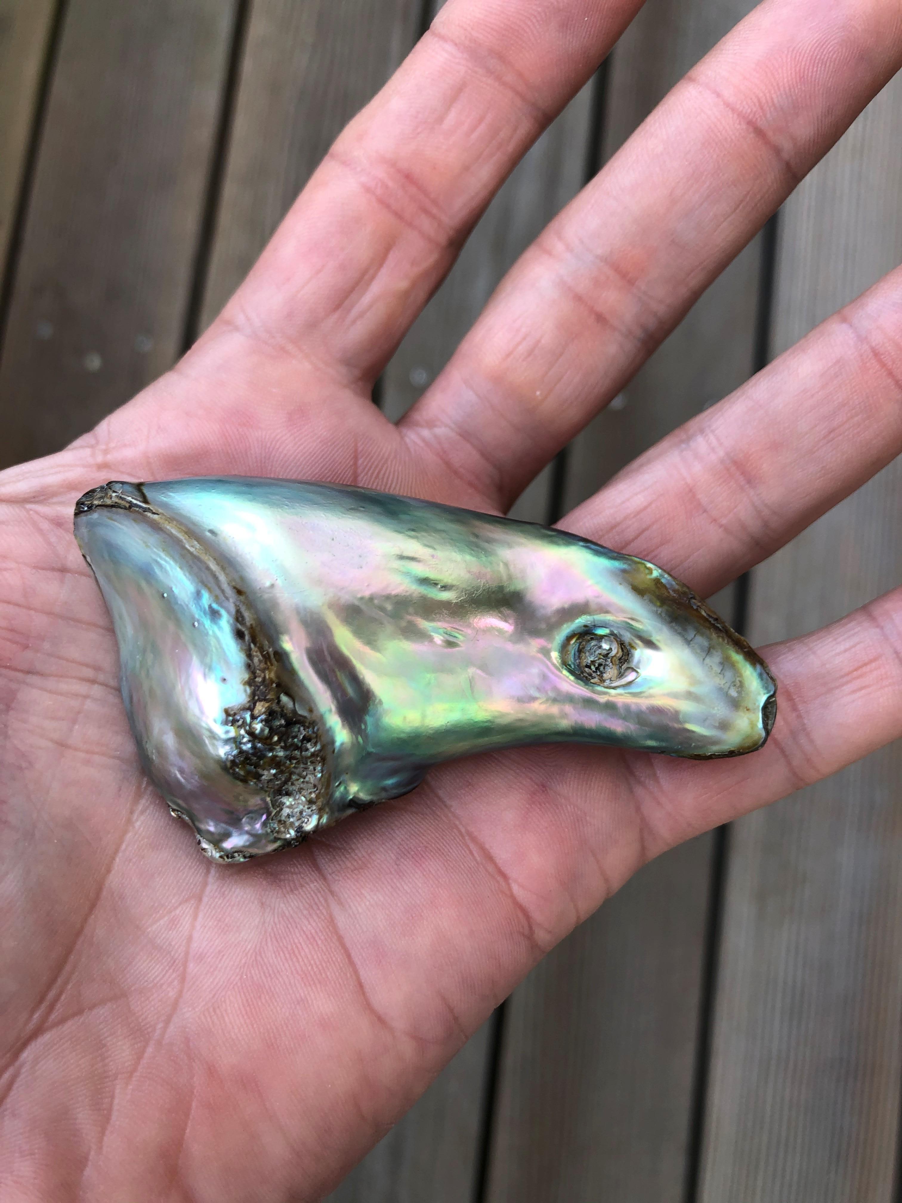 Men's One of a Kind Natural Saltwater Abalone Pearl of Impressive Size For Sale