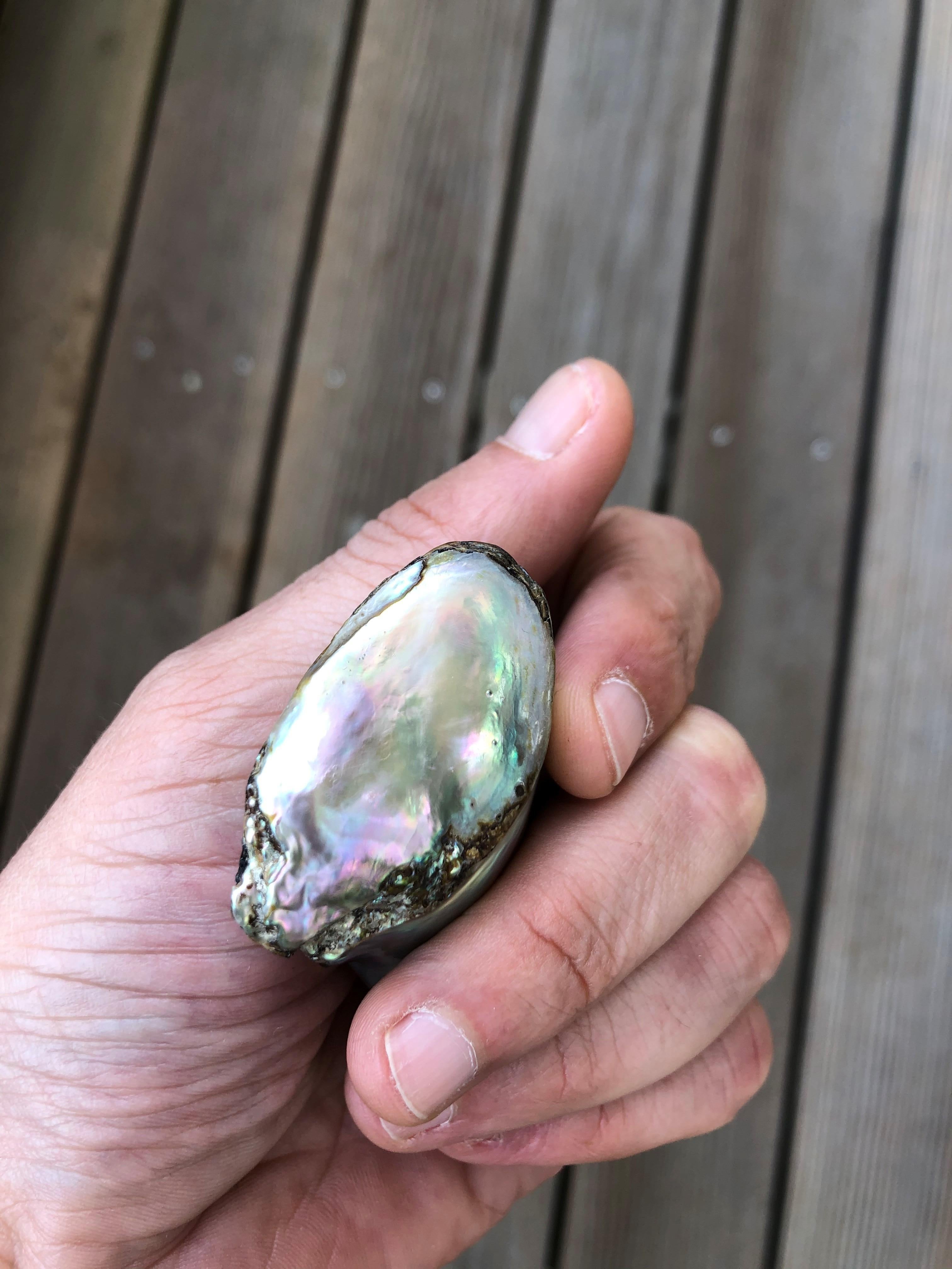 One of a Kind Natural Saltwater Abalone Pearl of Impressive Size For Sale 1