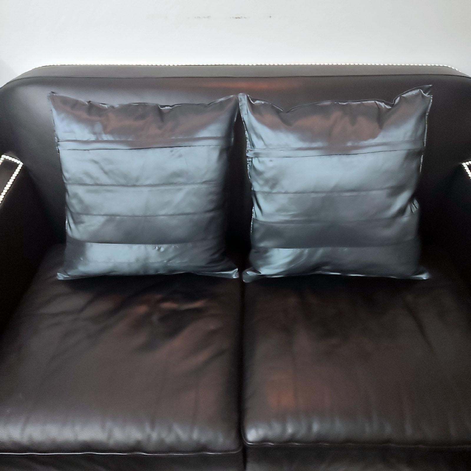 One of a Kind Pair of Pillows, Throw Pillows, Philosophy Pillows 