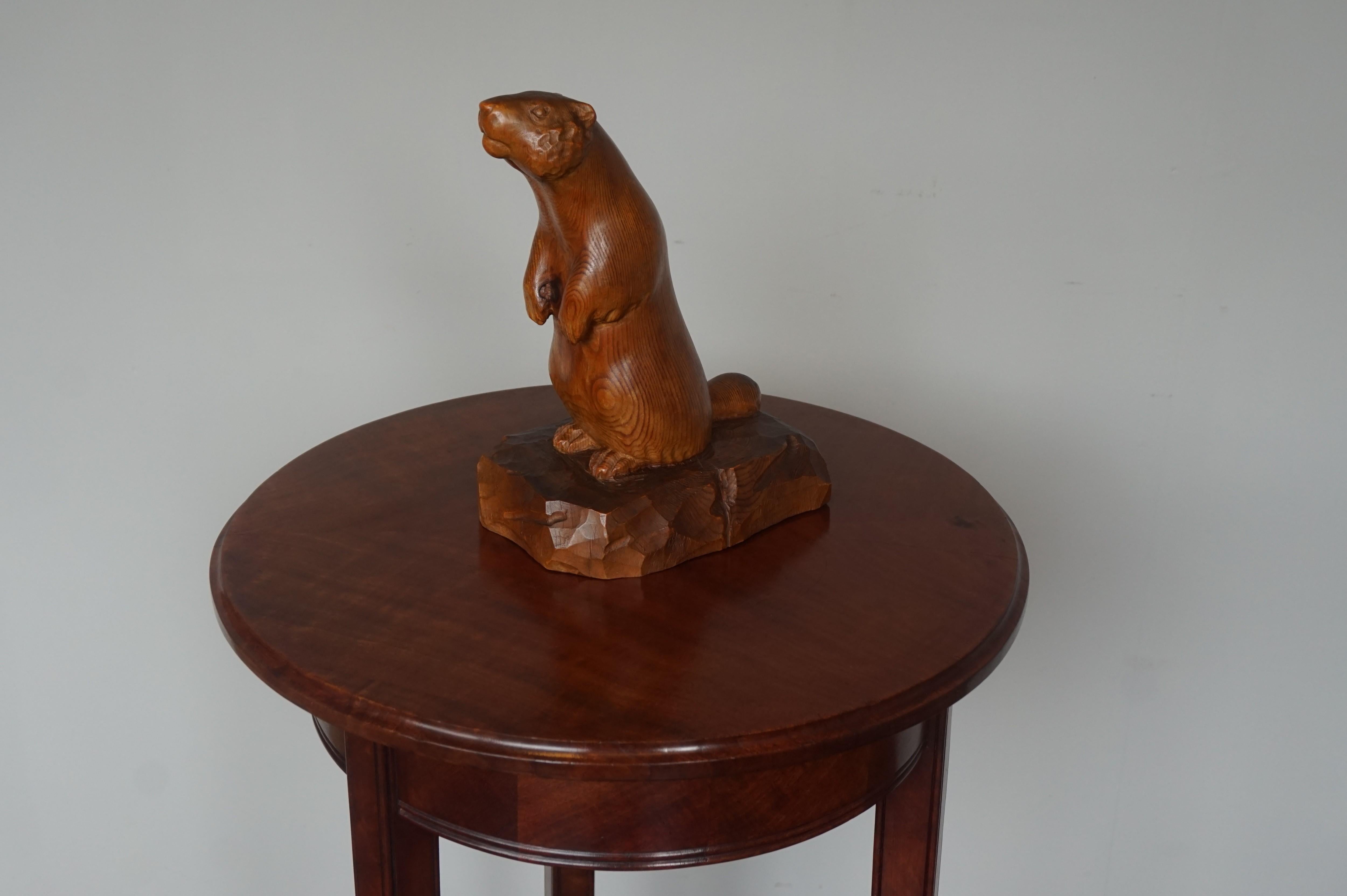 One of a Kind and Professionally Hand Carved Antique Sculpture of a Groundhog For Sale 6