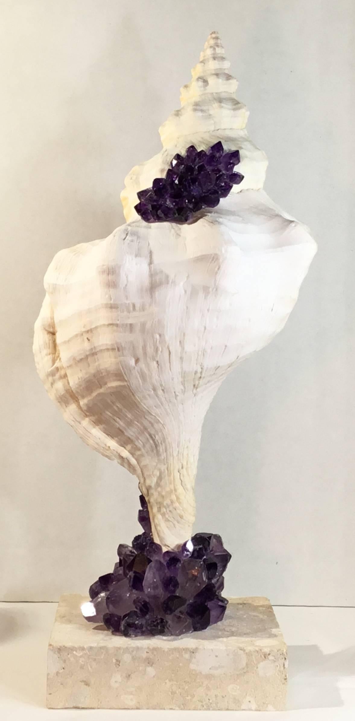 One of a Kind Sea Shell and Amethyst Crystal For Sale 3